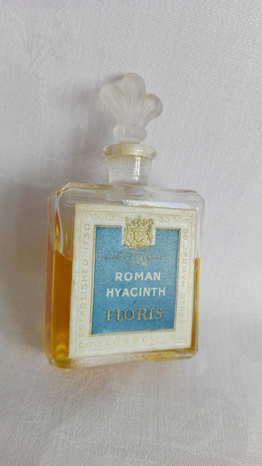Roman Hyacinth