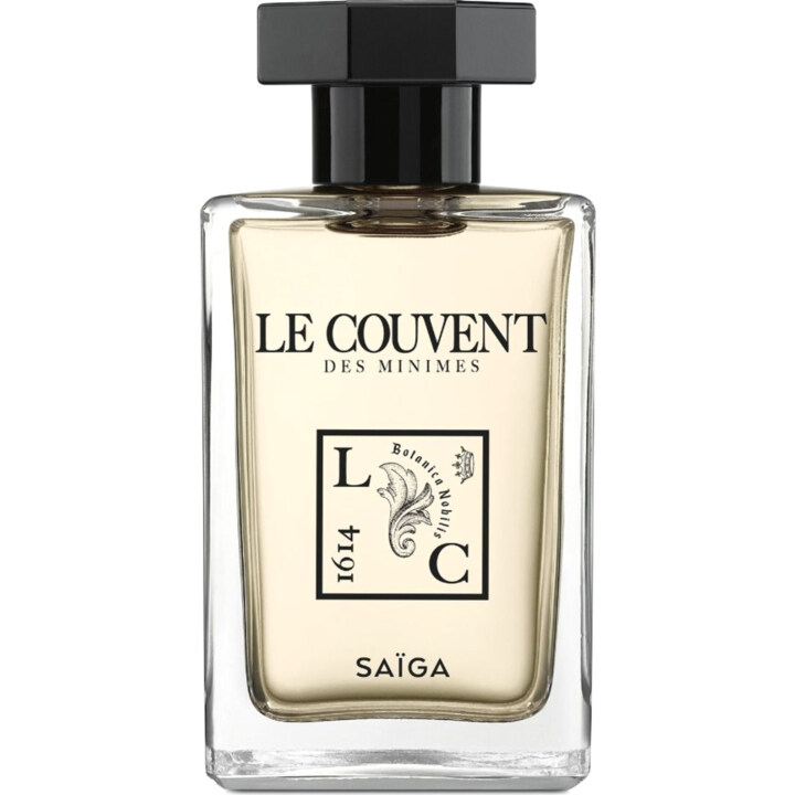 Saïga