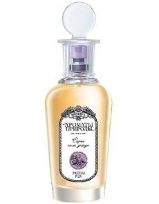 Lilac After The Rain / Сирень после дождя