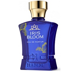 Iris Bloom