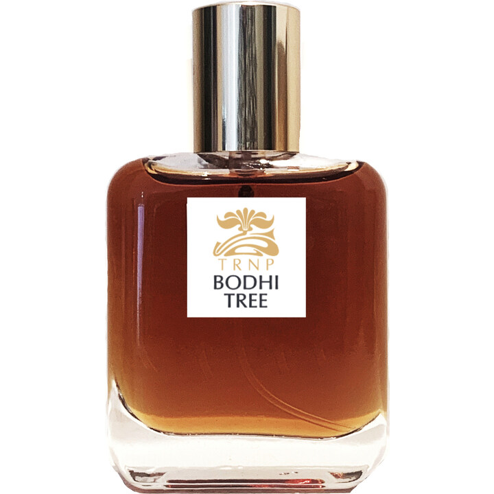 Bodhi Tree