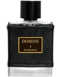 Domini