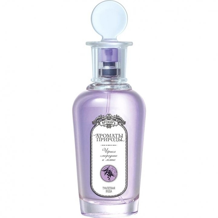 Aromaty prirody: Chernaya Smorodina i Myata (Ароматы природы: Черная смородина и мята)