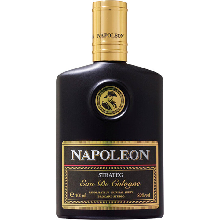 Napoleon Strateg