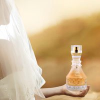 Wedding Secrets Gold