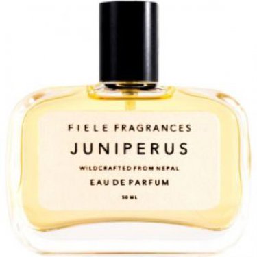 Juniperus
