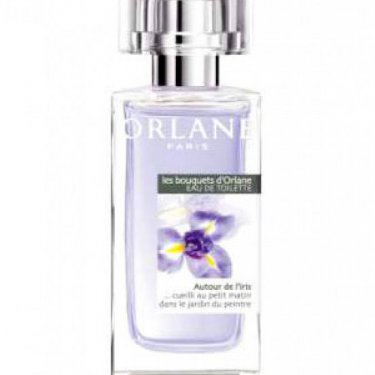 Les Bouquets d'Orlane: Autour de l'Iris