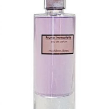Prune Immortelle