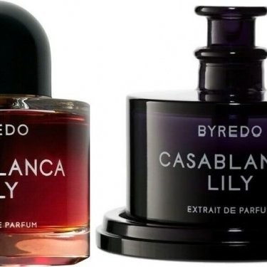 Night Veils: Casablanca Lily