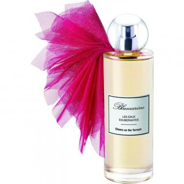 Les Eaux Exubérantes: Cheers on the Terrace