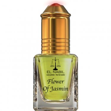 Flower of Jasmin