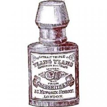 Ylang Ylang