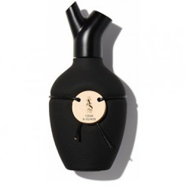 Cedar in Flower / Cèdre en Fleur