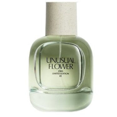 Unusual Flower (2022)