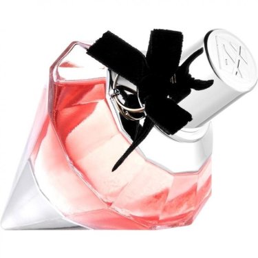 Love Never Dies Night Dream