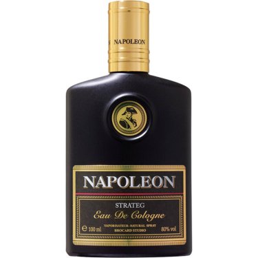 Napoleon Strateg