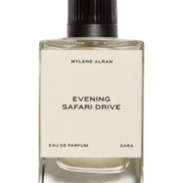 Evening Safari Drive