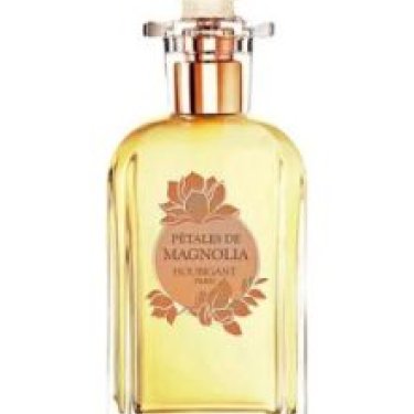 Pétales de Magnolia