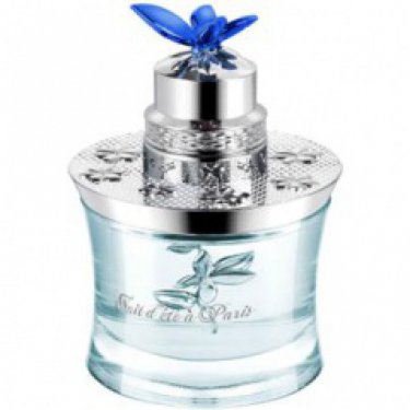 Nuit d'Été à Paris