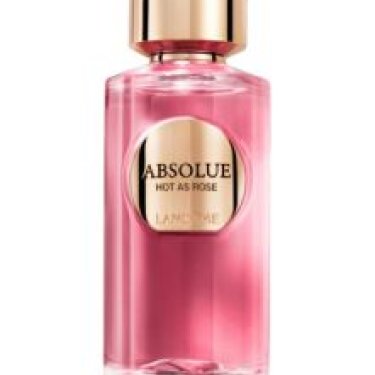 Absolue Hot As Rose