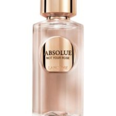 Absolue Not Your Rose