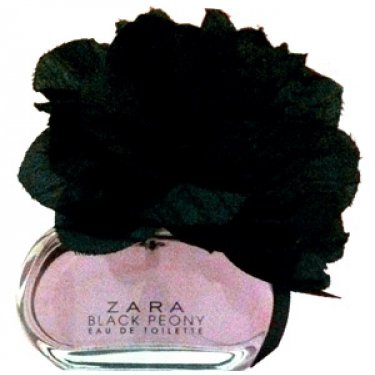 Collection of Flowers (2011): Black Peony