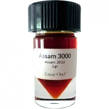 Assam 3000