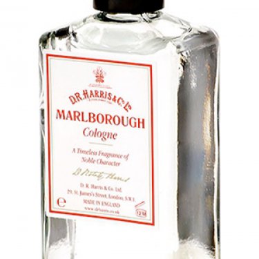 Marlborough (Cologne)