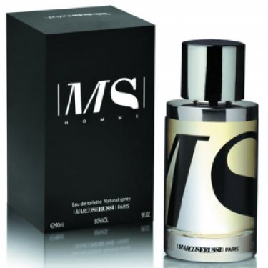 MS Homme