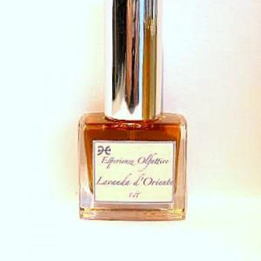 Lavanda d'Oriente