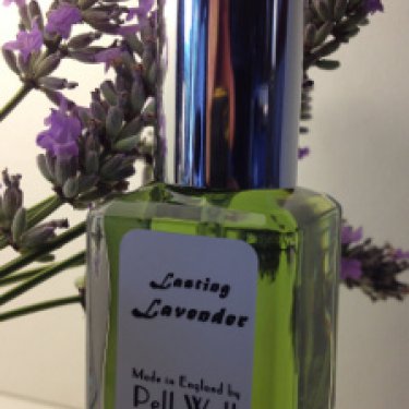 Lasting Lavender