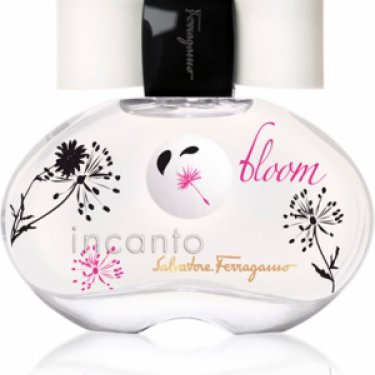 Incanto Bloom