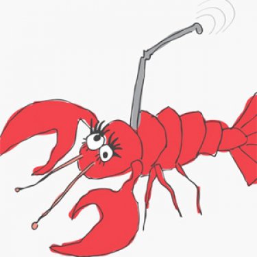 Lobster Cellphone