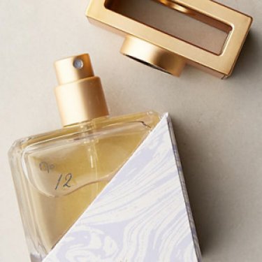 Leitmotiv - No. 12 Figuier Moderne