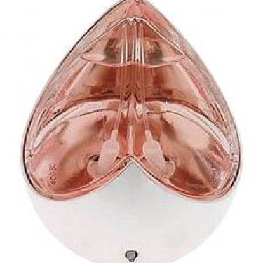 Kingdom Limited Edition