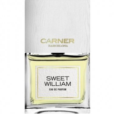 Sweet William