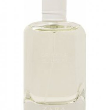 Delicious Blossom (2017)