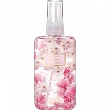 Plaisir (Cherry Blossoms)