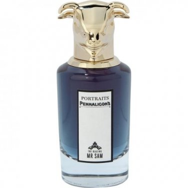 Portraits: The Blazing Mr Sam