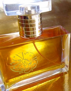 Venezia Giardini Segreti