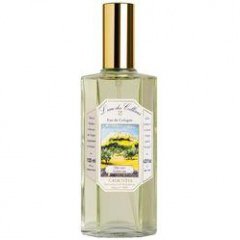 L'eau des Collines: Thé Vert